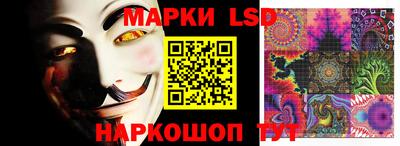 первитин Камышлов