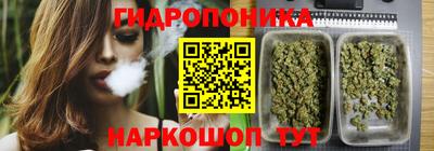 шишки Канаш