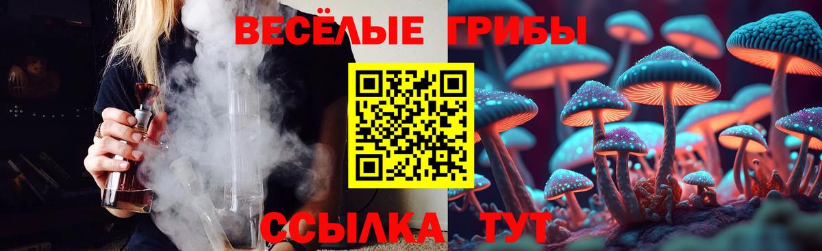 Галлюциногенные грибы Cubensis Отрадное